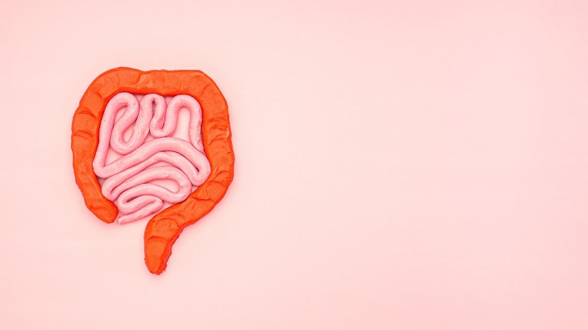 A quoi servent les probiotiques