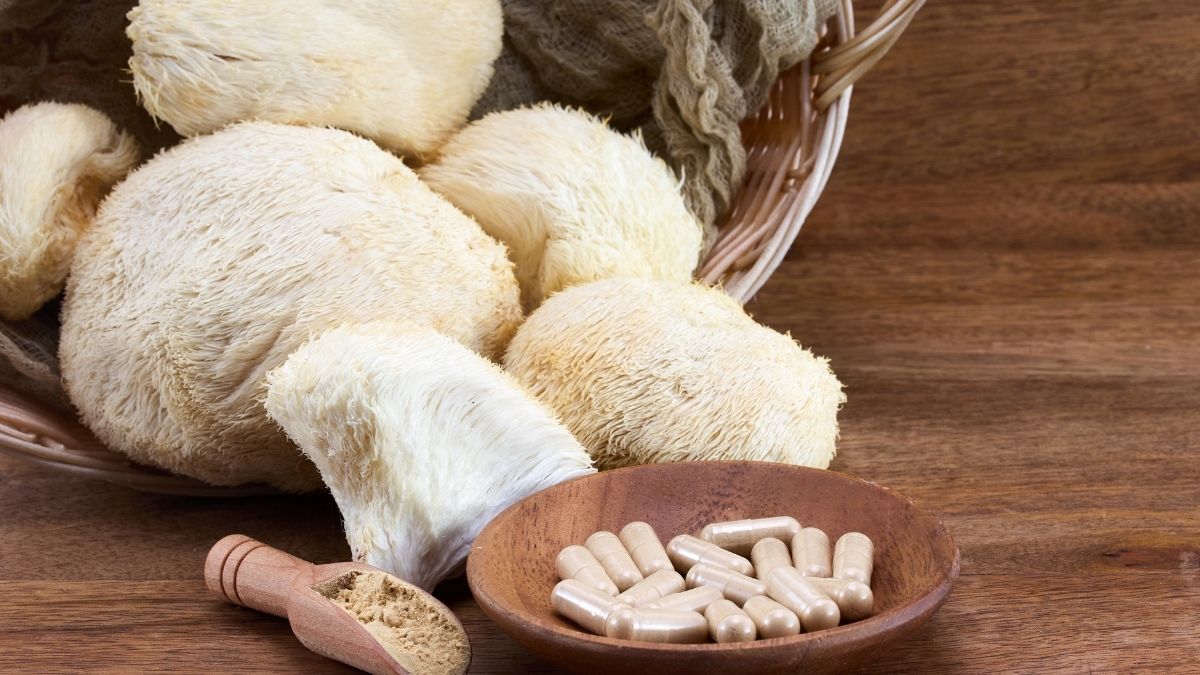 Bienfaits du champignon crinière de lion