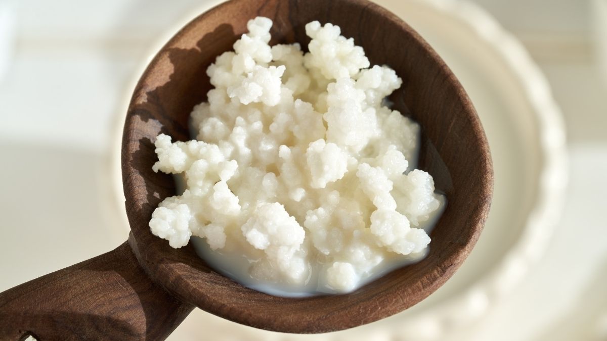 Le kéfir est il un bon probiotique ?