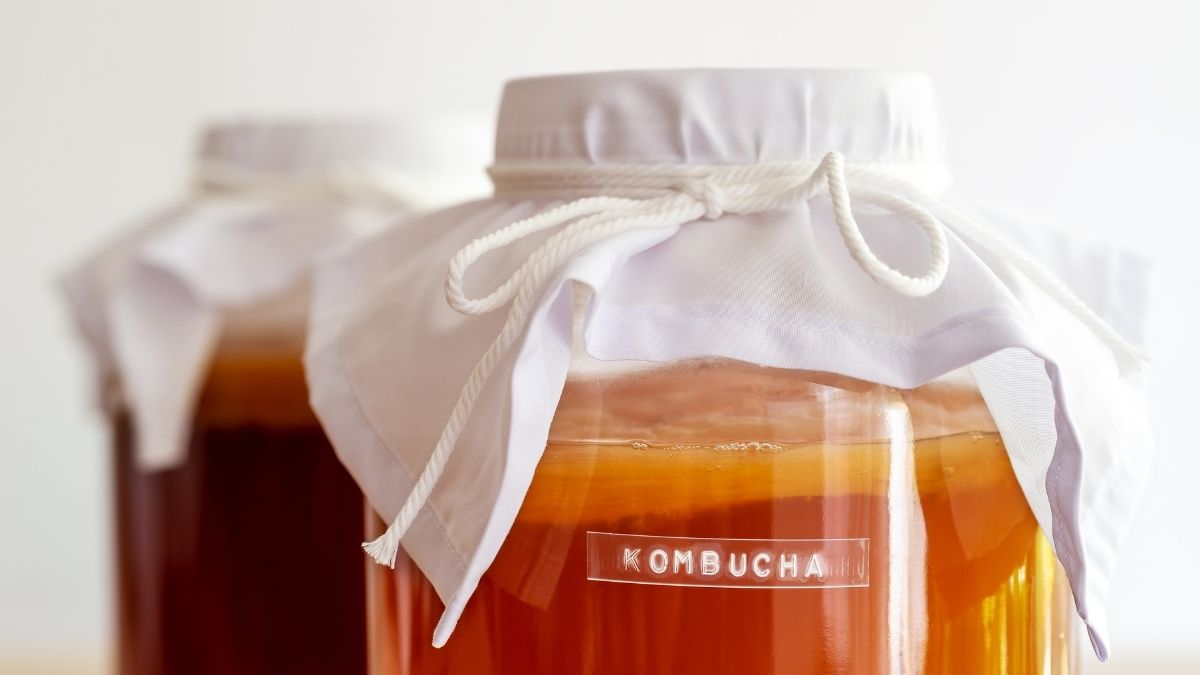 Le kombucha est-il un bon probiotique pour vous ?