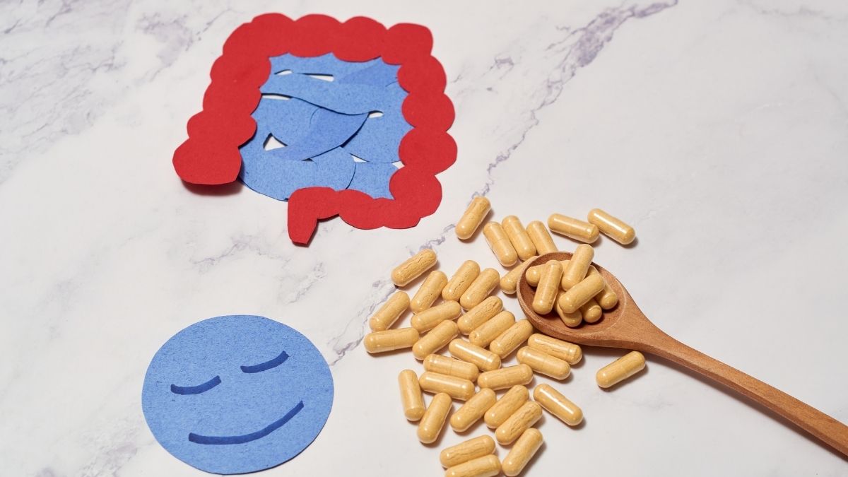 Quels sont les bienfaits du Lactobacillus rhamnosus ?