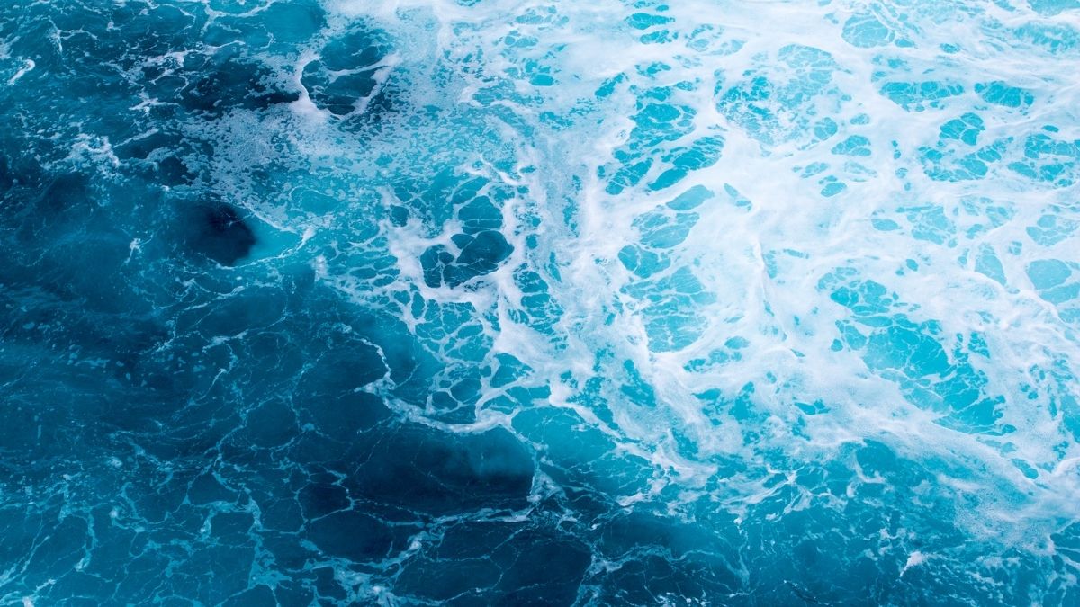 Le magnésium marin est une forme naturelle de magnésium extraite de l’eau de mer