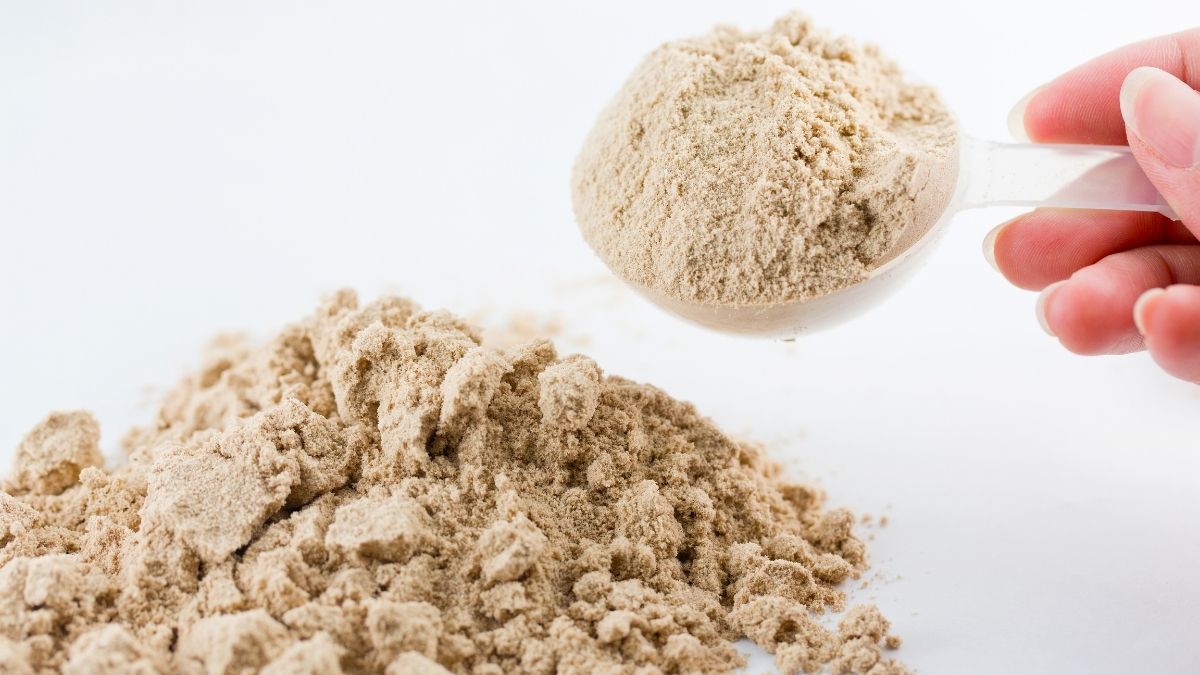 Danger du Lactobacillus gasseri : vrai ou faux ?