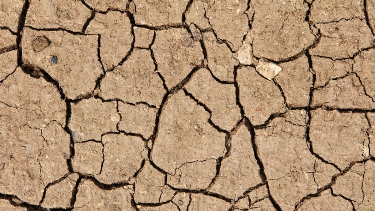 Sécheresse intime : Les probiotiques comme solution ?