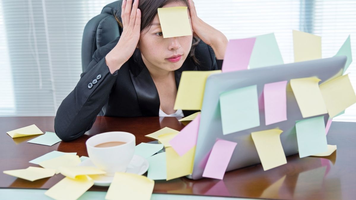 Stress, anxiété et probiotiques