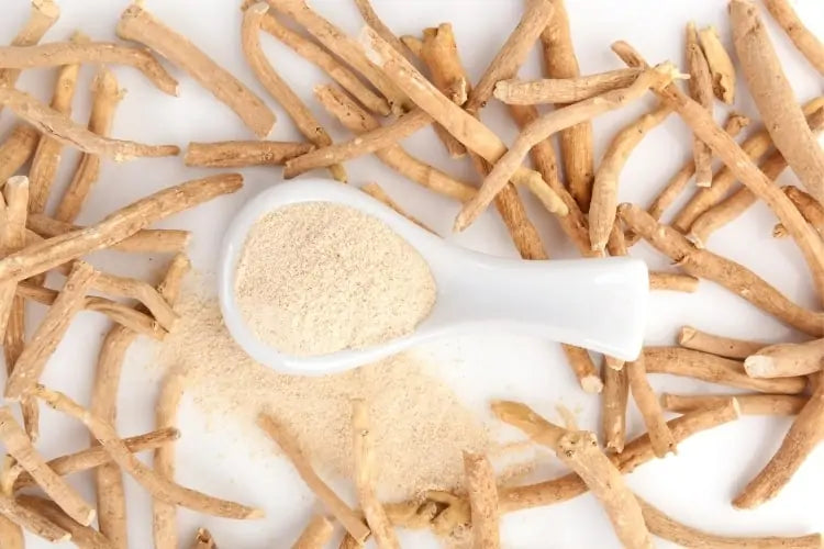 Ashwagandha : bienfaits, propriétés, posologie, danger