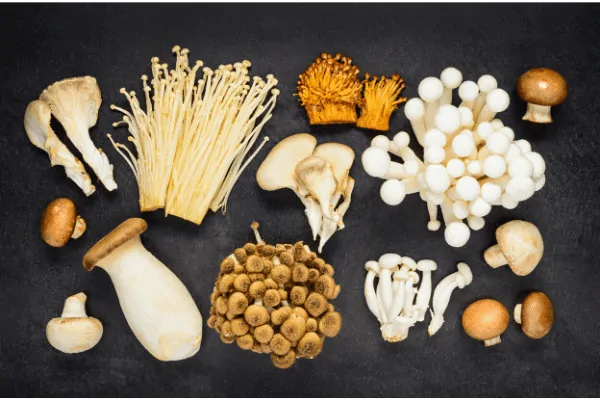 7 Bienfaits des Champignons sur la Santé