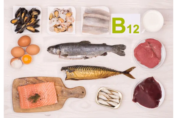 Les Bienfaits de la Vitamine B12