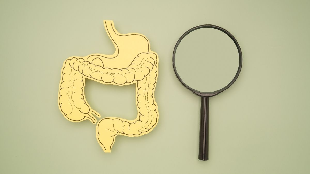 est ce que les probiotiques sont efficaces