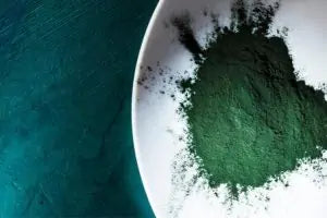 Spiruline et fer : Une solution contre l’anémie?