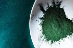Est-ce que la spiruline est bonne pour l'anémie ?