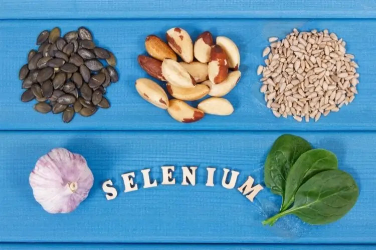 Zinc et Sélénium : les bienfaits de leur association